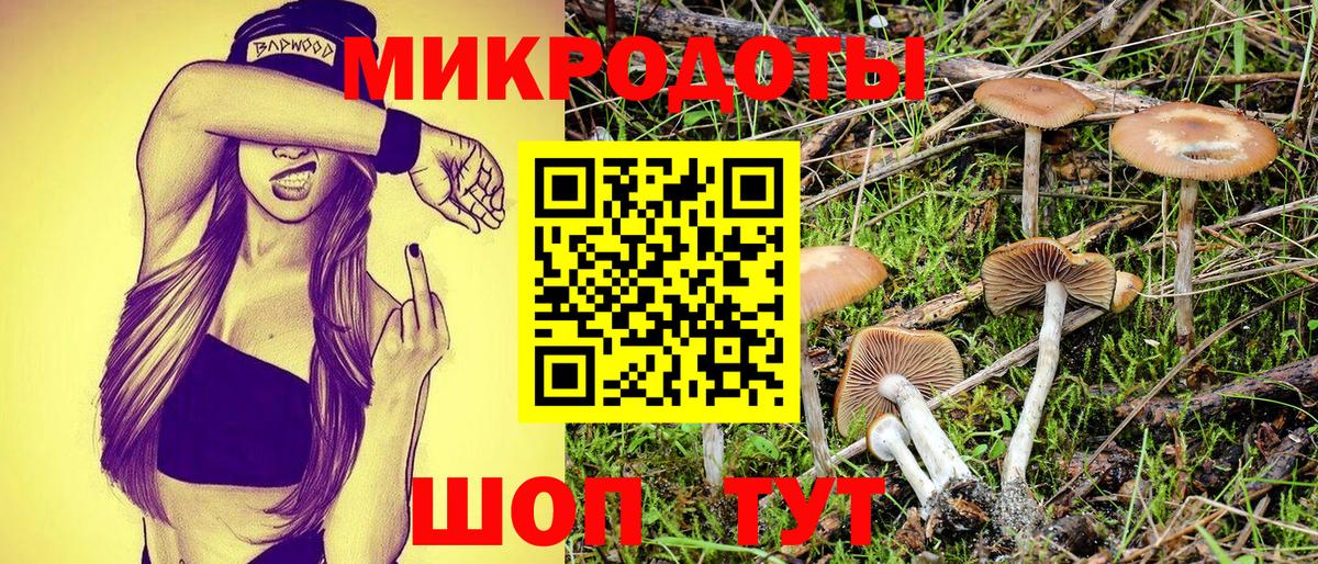 купить наркотики сайты  Вход с VPN  Заволжье  Псилоцибиновые грибы GOLDEN TEACHER 
